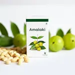 Amalaki Kaufen Bestellen Online Günstig - Emblica Officinalis Extrakt Angebote thumbnail 2